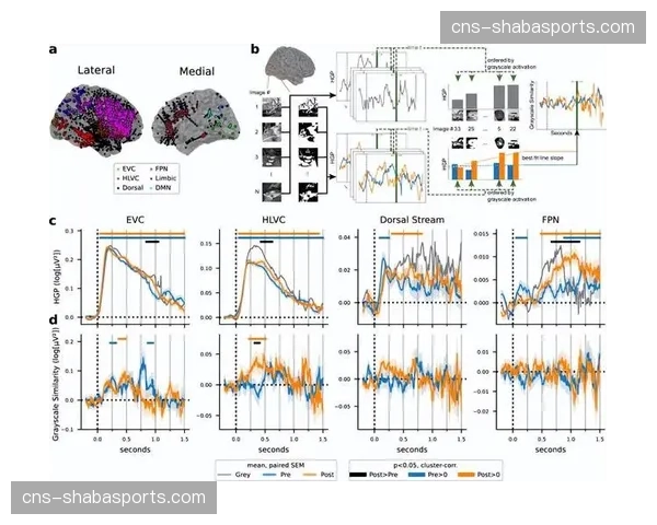 深度学习行为建模技术在本年度落地 这种进步正稳步筑牢运营稳健性防护墙